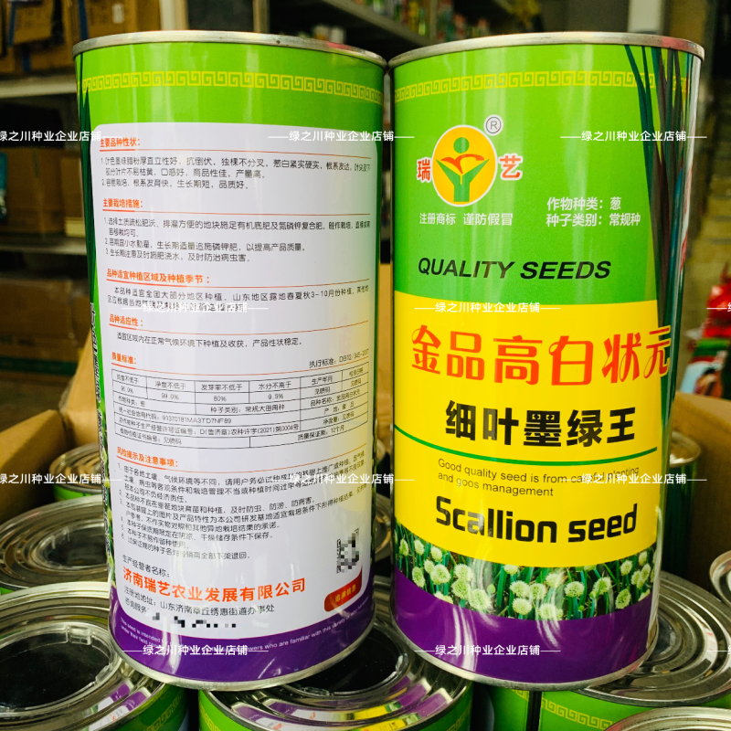 金品高白状元香葱种籽细叶墨绿王葱种子葱杆硬实直立大葱种子