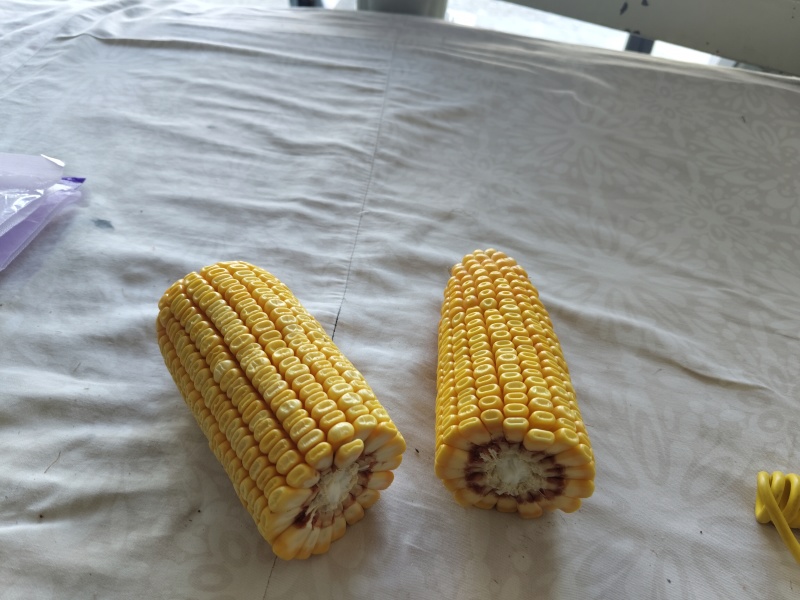 25年玉米棒大量出售