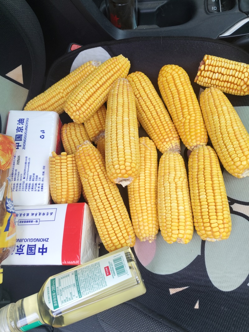 25年玉米棒大量出售