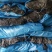 海带干海带海带皮海带干挂菜海带无沙海带养殖场直接供货