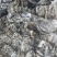 山东海带干海带挂菜海带片无沙海带海带干海带产地发货福建