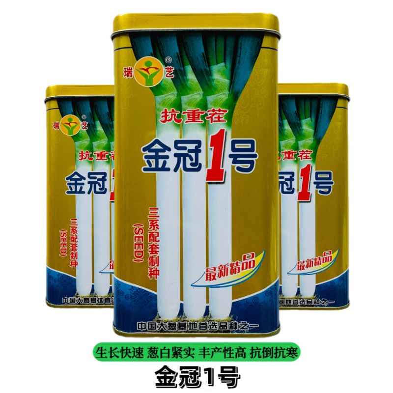 金冠1号大葱种子抗倒抗寒抗病丰产返青早葱白紧实叶色深绿