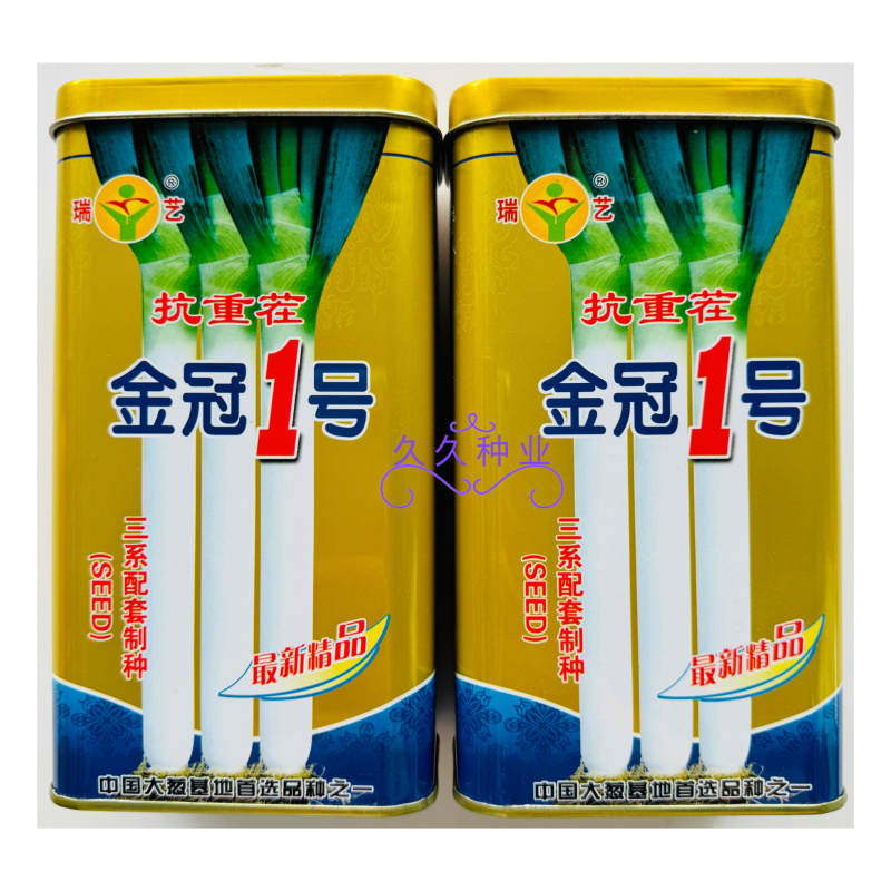 金冠1号大葱种子抗倒抗寒抗病丰产返青早葱白紧实叶色深绿