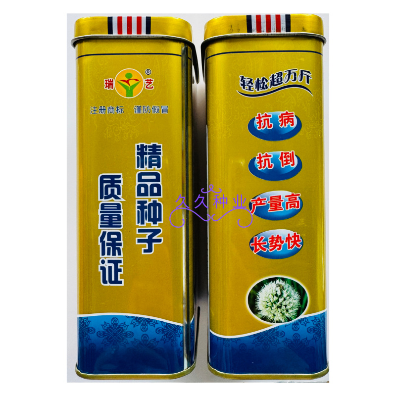 金冠1号大葱种子抗倒抗寒抗病丰产返青早葱白紧实叶色深绿