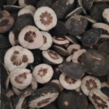【精品】枳壳，湖南基地含量高量大质优，可全国对接药厂批发