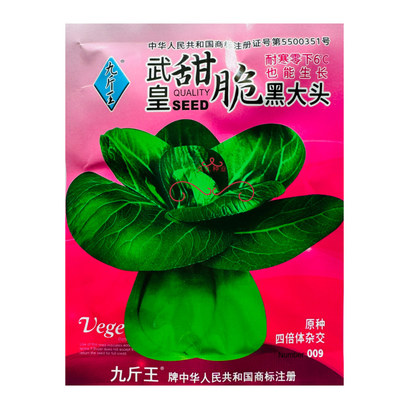 武皇甜脆黑大头青梗菜种子味鲜质嫩高产耐寒农家春秋播