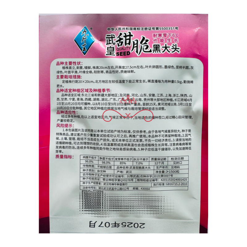 武皇甜脆黑大头青梗菜种子味鲜质嫩高产耐寒农家春秋播