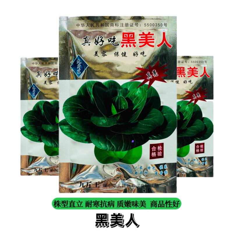 真好吃黑美人青菜种子高产耐寒青梗菜四季蔬菜种籽苏州青种孑