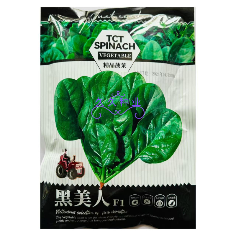 黑美人菠菜种子中熟黑绿圆叶菠菜种籽春秋季耐寒耐抽苔菠菜种