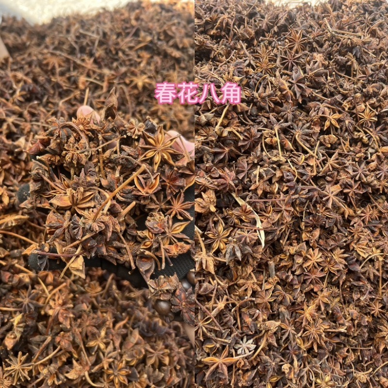 春花八角足干无硫黄颜色颜色好个头大产地直发