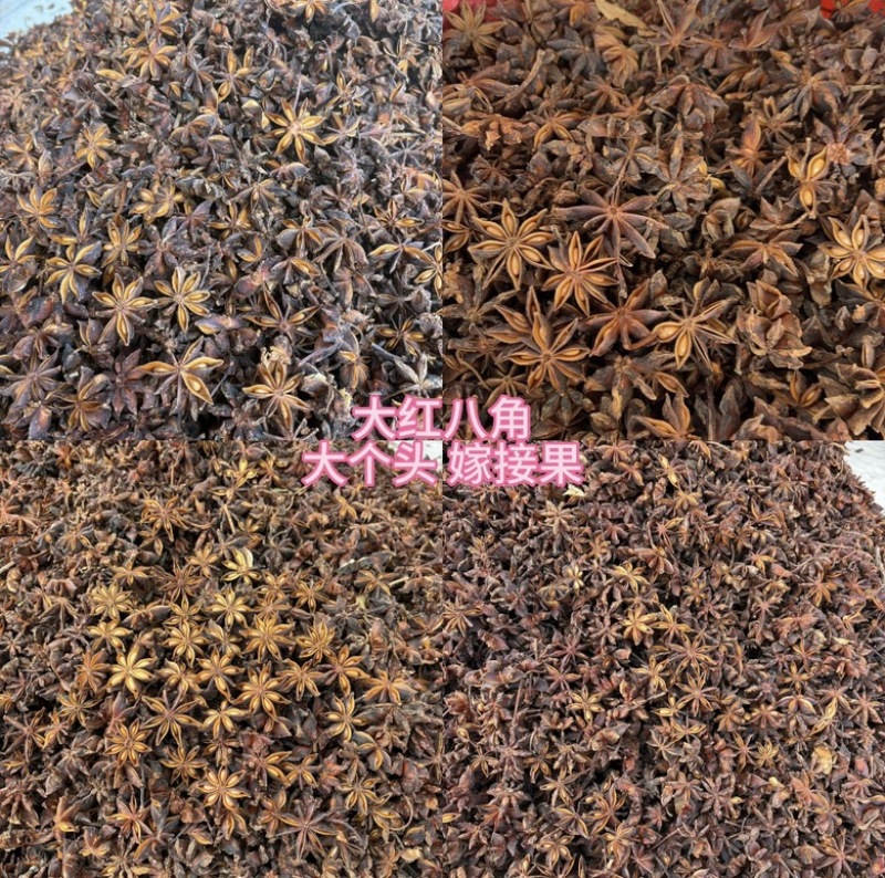 【广西玉林】大红八角八角足干无硫一手货源产地直发
