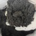 源头工厂批发纯鸡粪，一手货源大量现货，欢迎新老客户合作