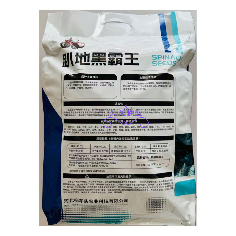 趴地黑霸王菠菜种子踏地菠菜种籽春秋冬季耐寒蔬菜越冬波菠菜