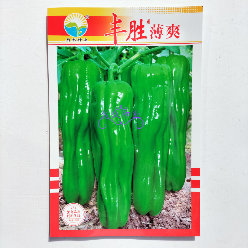 丰胜薄爽大果型辣椒泡椒早熟种子高产抗病连续座果能力强微辣