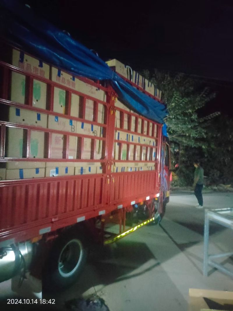 精品大黑皱皮果形靓丽品质有保障适合各大电商超市场需要联系