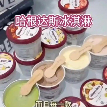 哈根达斯冰淇淋派对组合经典小杯100ml*20杯顺丰冷