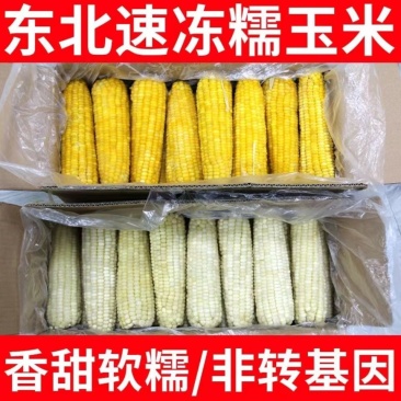 25年万糯2018速冻一等棒