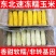 25年万糯2018速冻一等棒