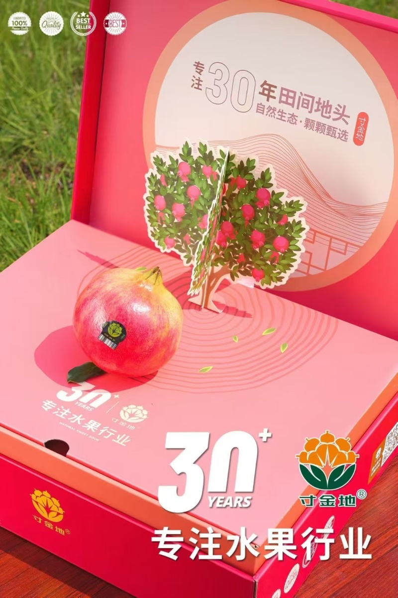 寸金地软籽石榴礼盒，大量，品种齐全欢迎光临