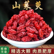 山萸肉精选无核山茱萸萸肉枣皮中药材山茱萸男士泡酒料山芋肉