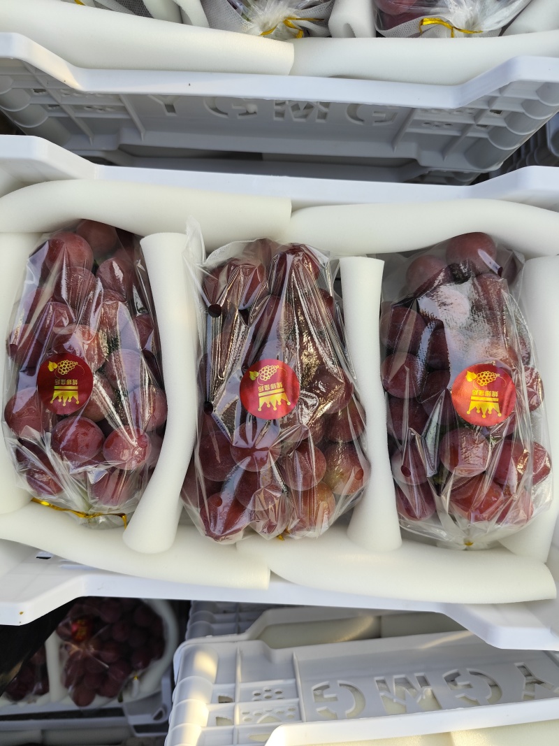 原产地妮娜皇后葡萄自家货源串行好颗粒饱满15g左右糖分17