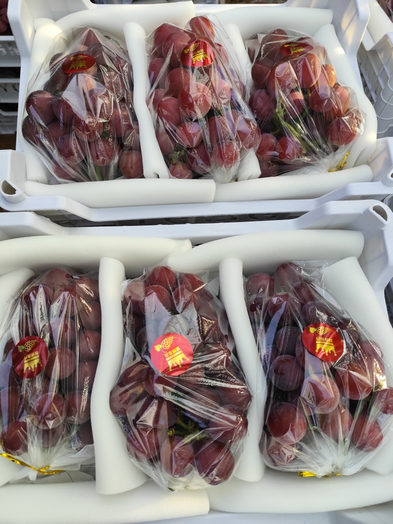 原产地妮娜皇后葡萄自家货源串行好颗粒饱满15g左右糖分17