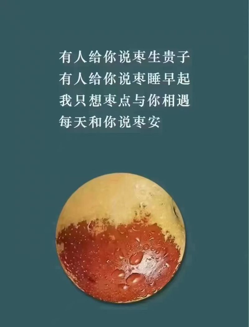 〈实力〉沾化冬枣山东基地直发保质保量量大从优一条龙