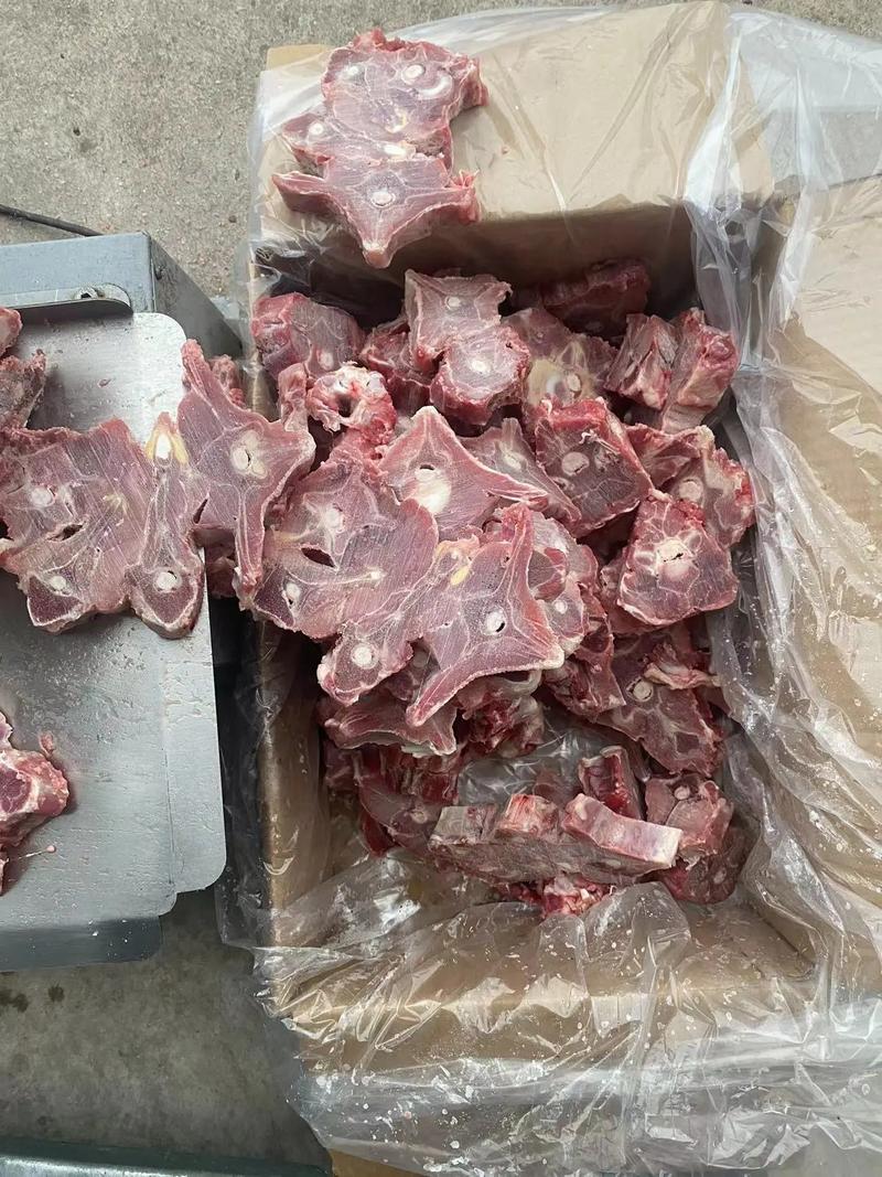 加肥羊蝎子，开箱实拍看货，颜色新艳，带肉饱满呦