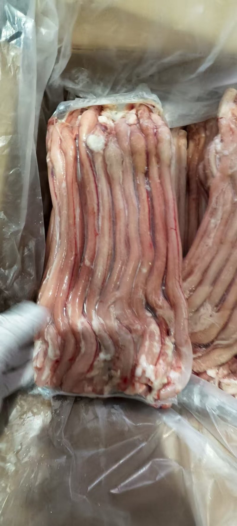 羊鞭