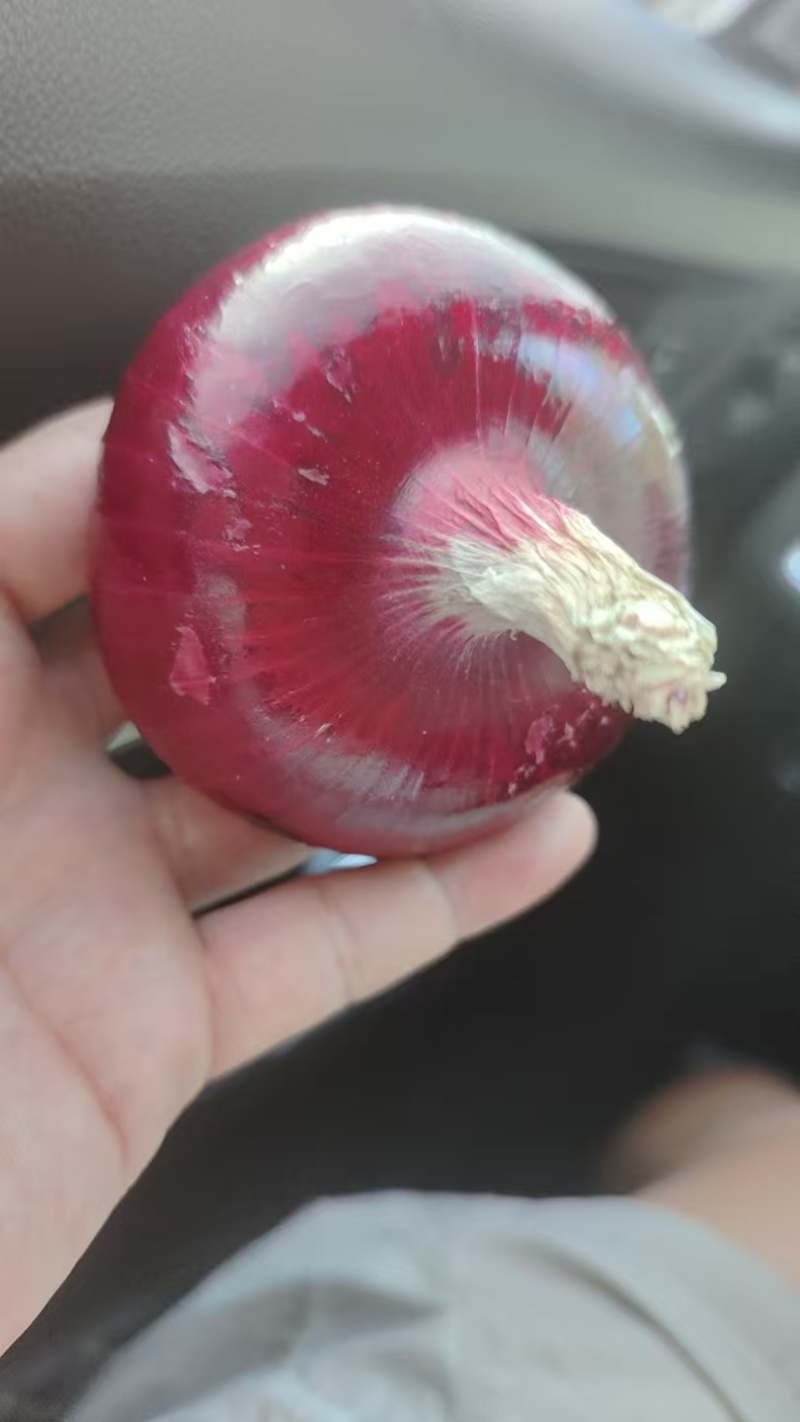 洋葱，手选洋葱，聊城二红洋葱，大红洋葱紫皮洋葱