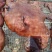 【五香牛头肉】五香牛头肉，干度高精修无油，可切块小包装。