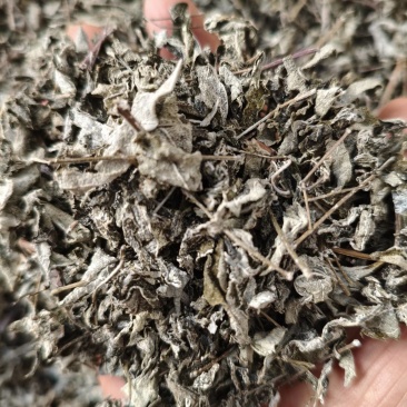 叶莓茶