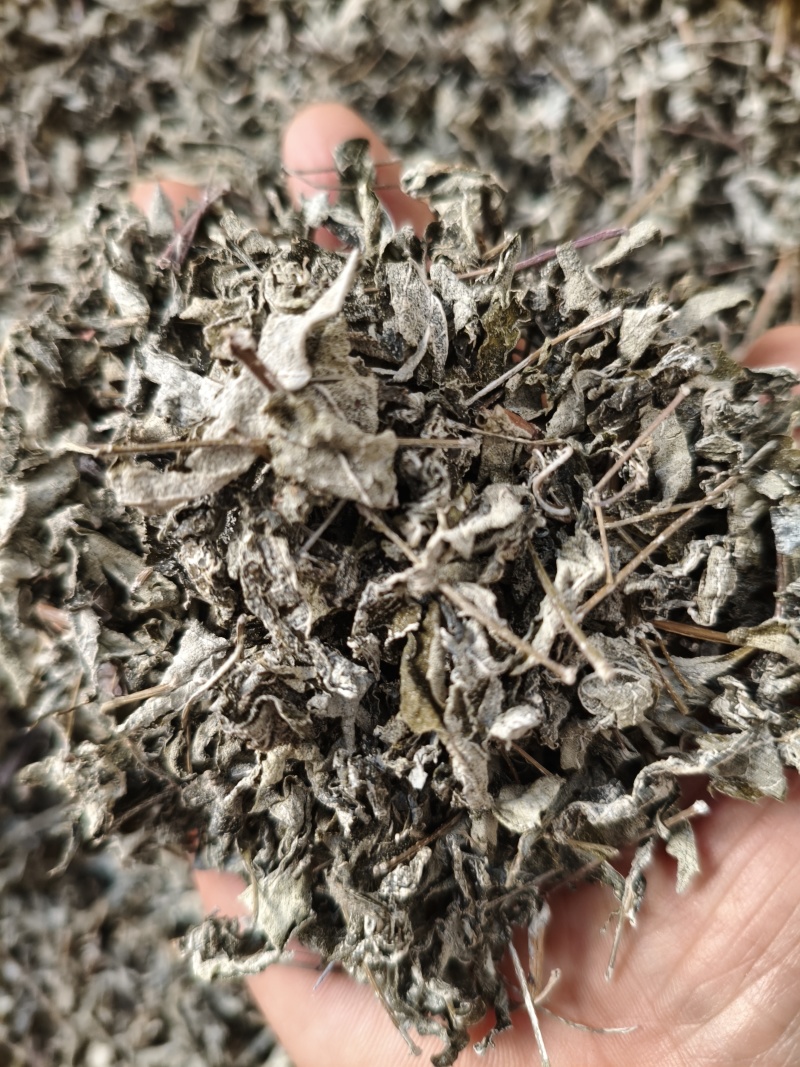 叶莓茶