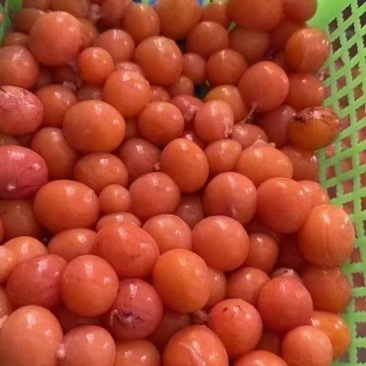 红心蛋黄