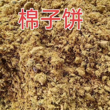 棉籽饼