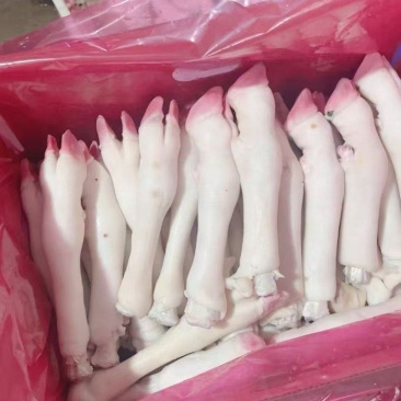 白羊蹄