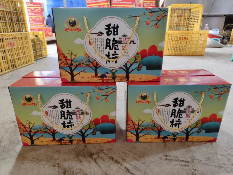 恭城月柿