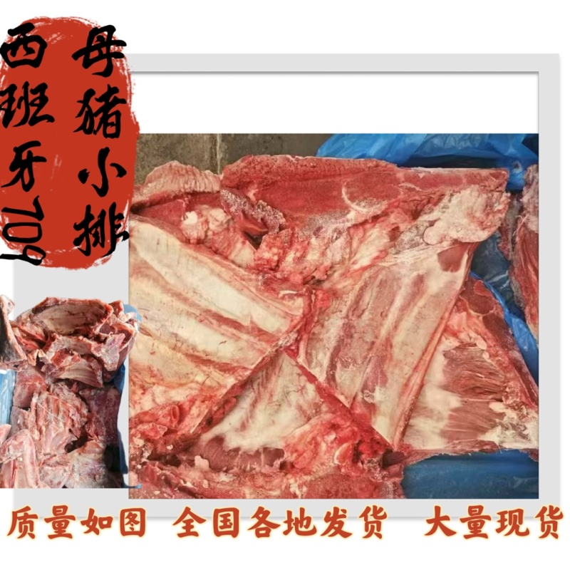 709母猪小排质量如图支持全国发货
