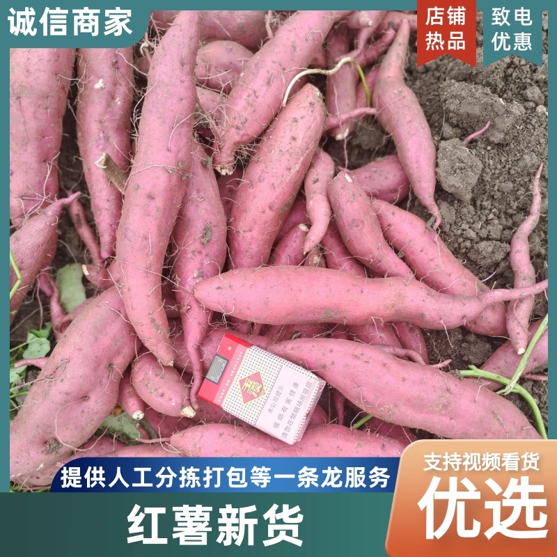 所以品种红薯，现挖现发，暖糯香甜