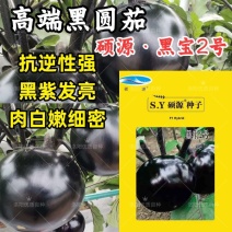 黑宝2号黑圆茄种子高端黑紫茄耐热耐寒油亮白肉圆茄子春夏种