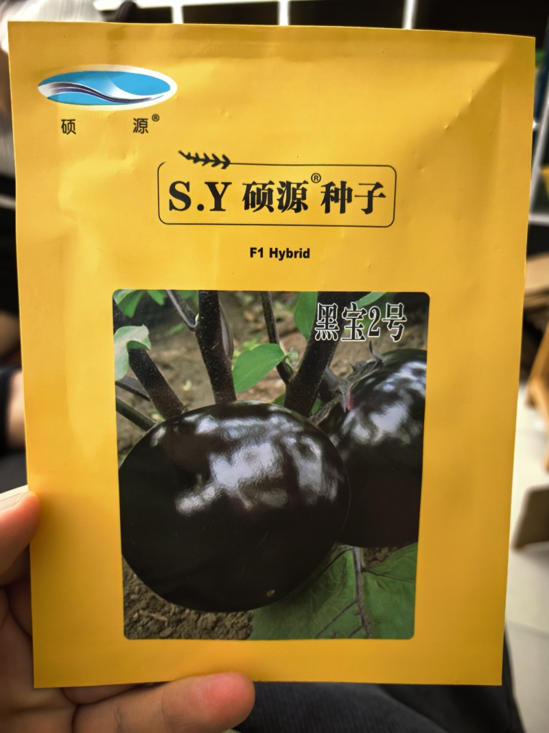 黑宝2号黑圆茄种子高端黑紫茄耐热耐寒油亮白肉圆茄子春夏种
