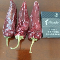 色椒，板椒
