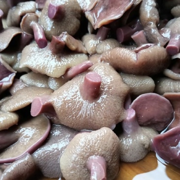 野生菌