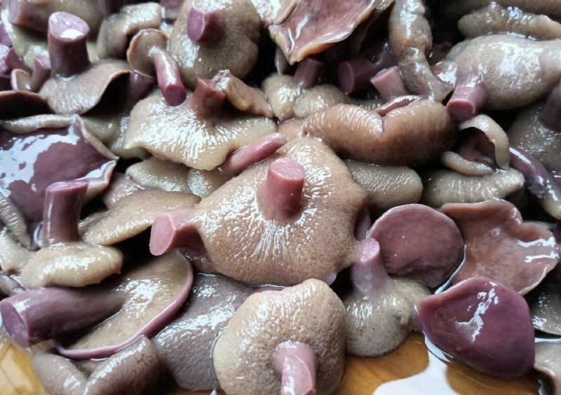 野生菌