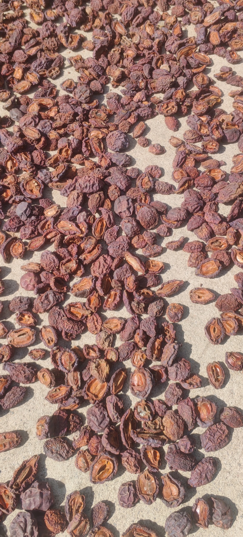 皱皮药用无籽木瓜对开两瓣四牙产地直供有籽木瓜