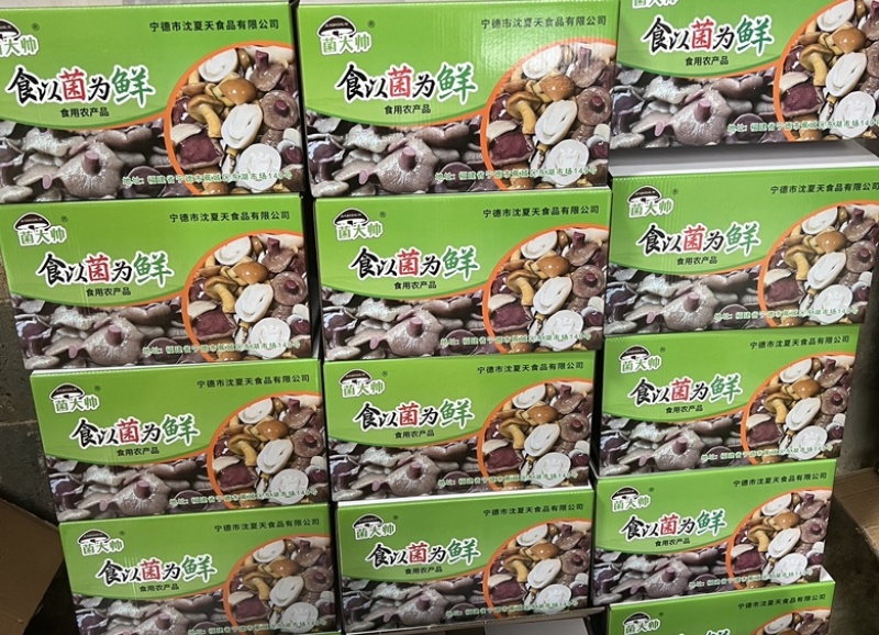 精品杂菇