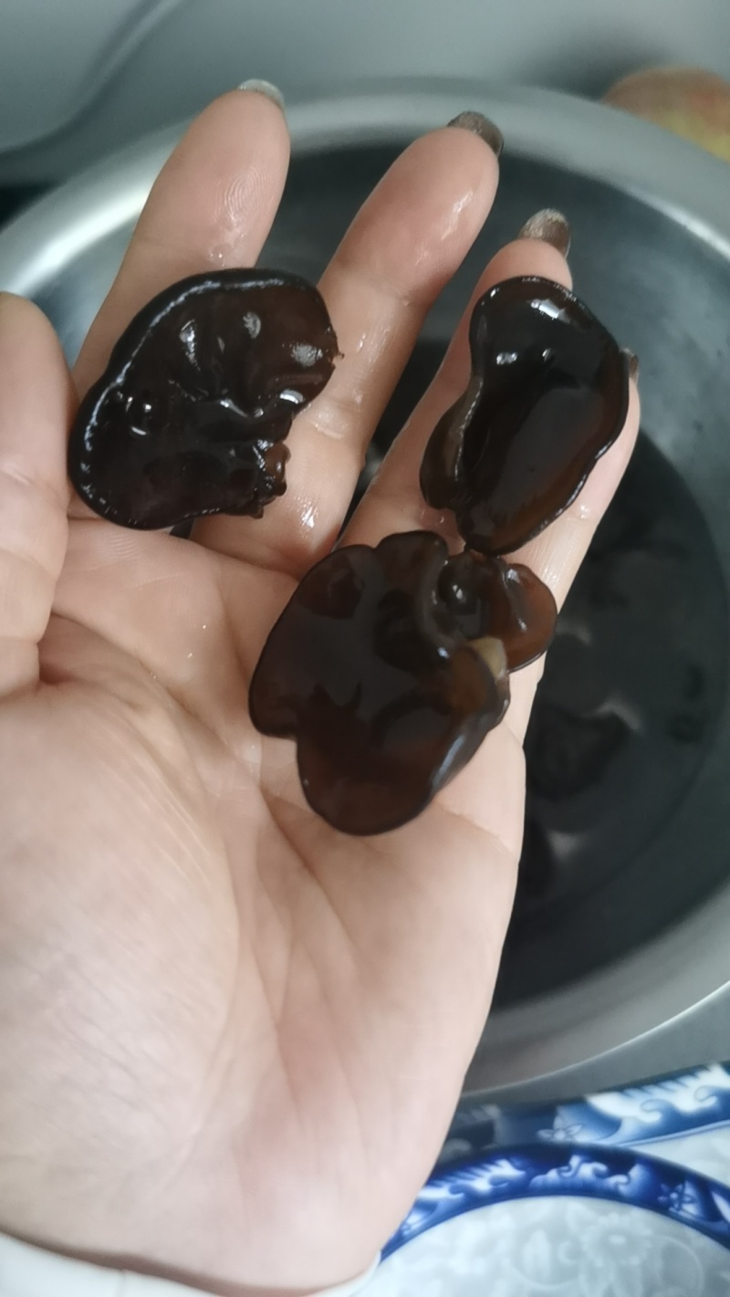 东北黑木耳碗耳批发一件代发电商供货泡发率十几斤秋耳黑厚