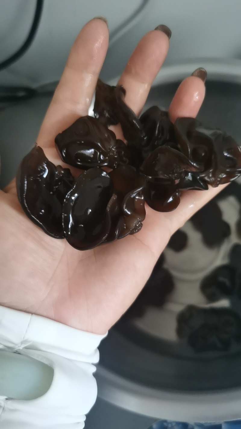 东北黑木耳碗耳批发一件代发电商供货泡发率十几斤秋耳黑厚