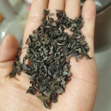 东北木耳牙子碎大量批发电商供货源头基地地摊团购一手货源便