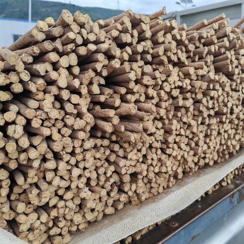 黄芪节子精品现发欢迎电话咨询货源充足规格齐全